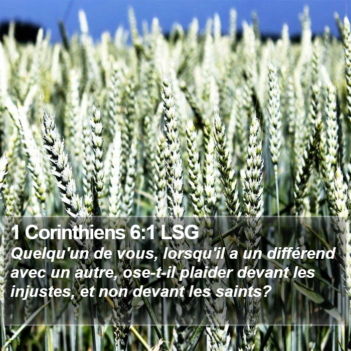 1 Corinthiens 6:1 LSG Bible Study