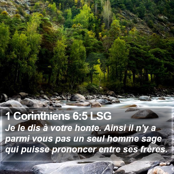 1 Corinthiens 6:5 LSG Bible Study