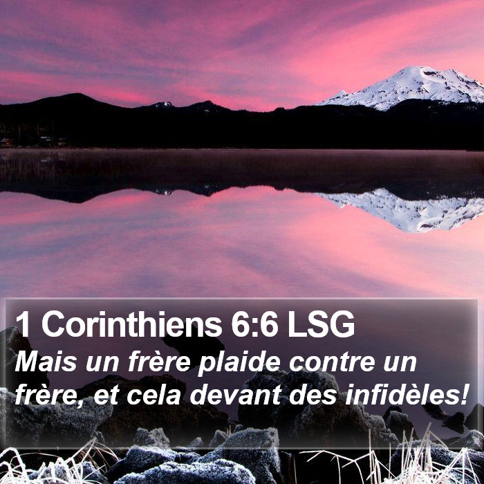 1 Corinthiens 6:6 LSG Bible Study