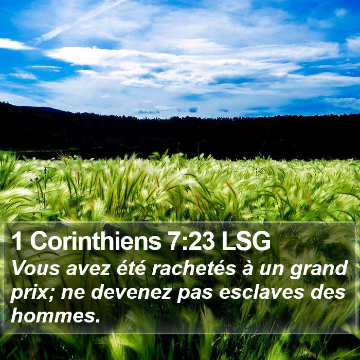 1 Corinthiens 7:23 LSG Bible Study