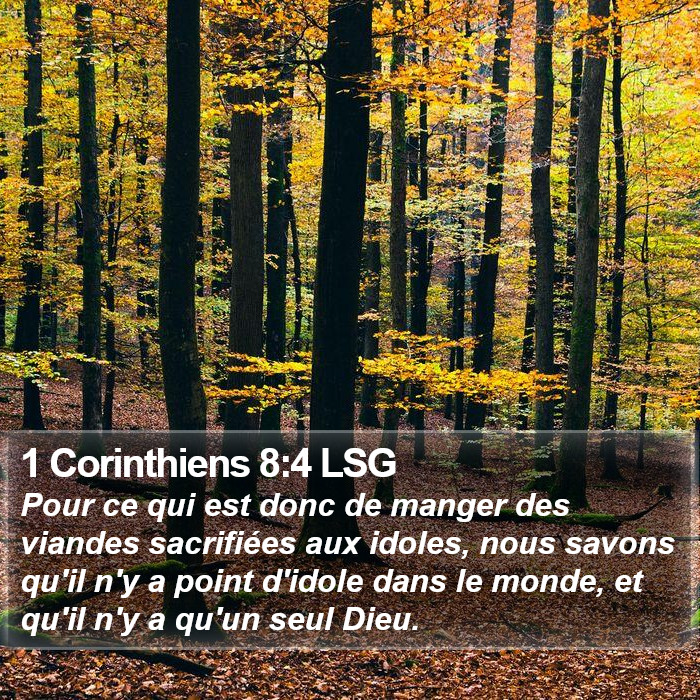 1 Corinthiens 8:4 LSG Bible Study