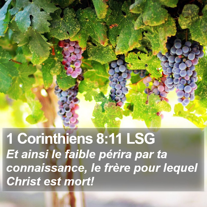 1 Corinthiens 8:11 LSG Bible Study