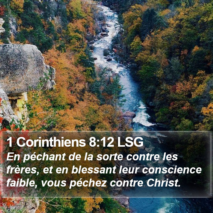 1 Corinthiens 8:12 LSG Bible Study