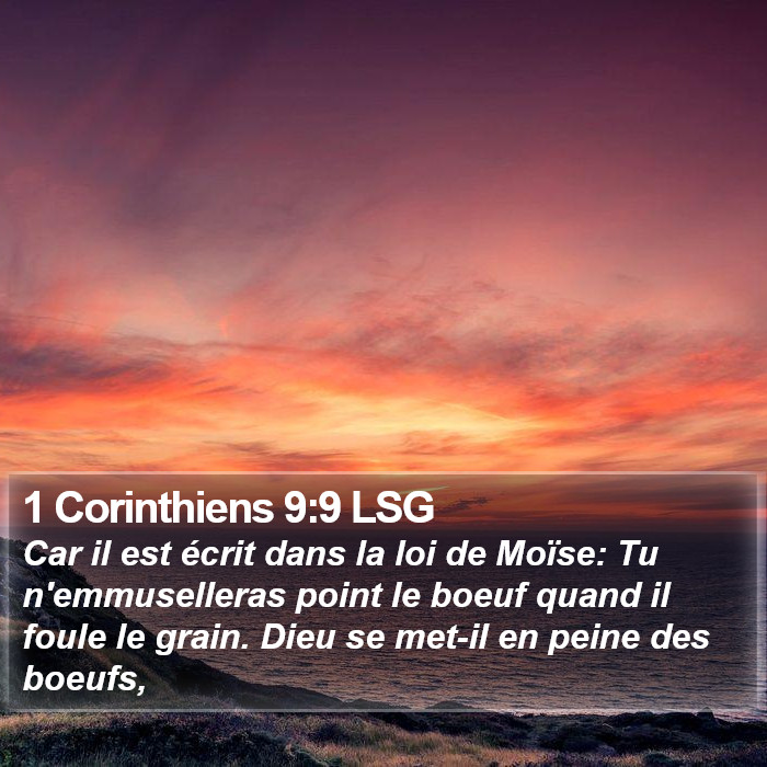 1 Corinthiens 9:9 LSG Bible Study