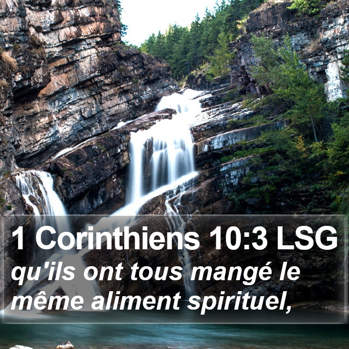1 Corinthiens 10:3 LSG Bible Study