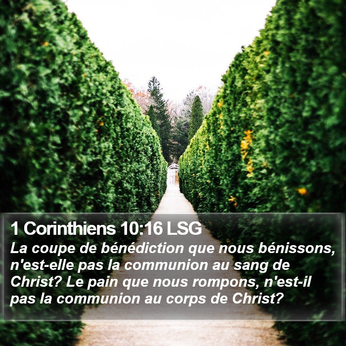 1 Corinthiens 10:16 LSG Bible Study
