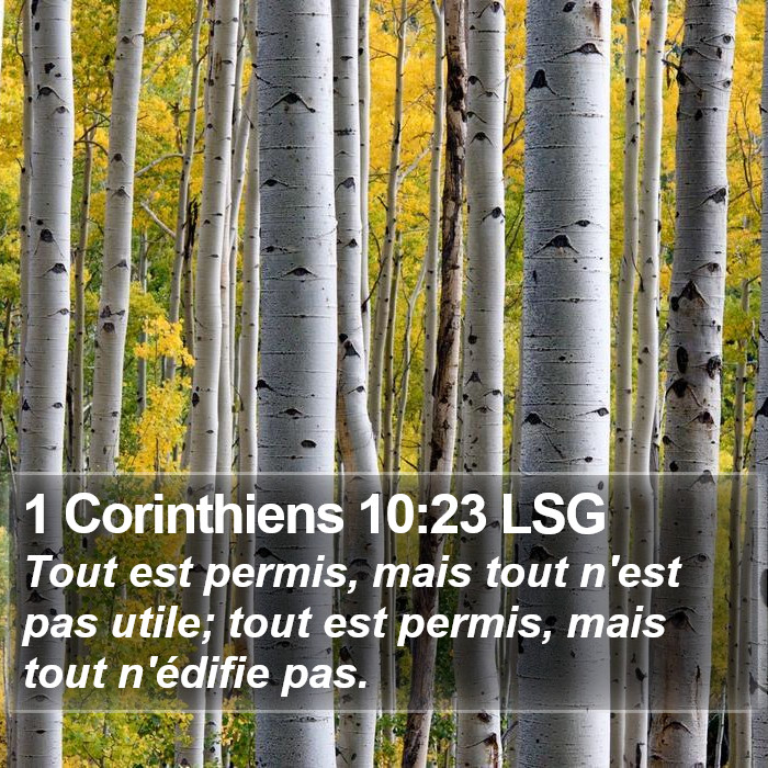 1 Corinthiens 10:23 LSG Bible Study