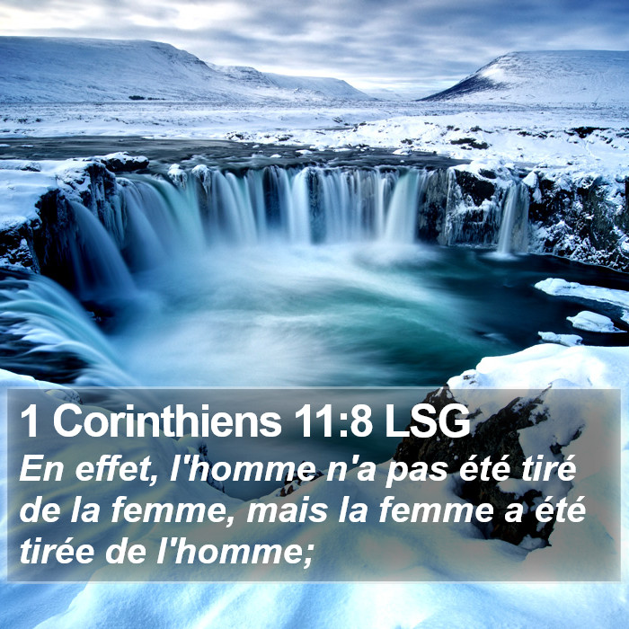 1 Corinthiens 11:8 LSG Bible Study