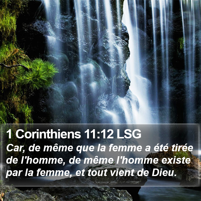 1 Corinthiens 11:12 LSG Bible Study