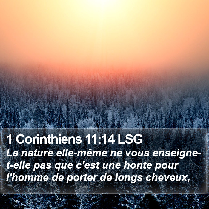 1 Corinthiens 11:14 LSG Bible Study