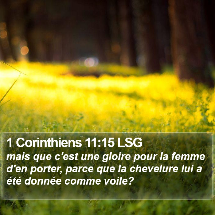 1 Corinthiens 11:15 LSG Bible Study