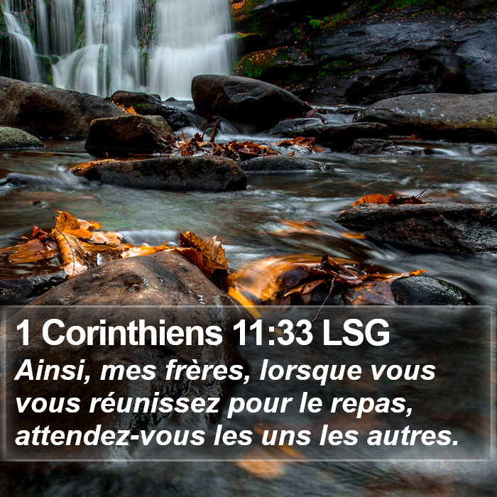 1 Corinthiens 11:33 LSG Bible Study