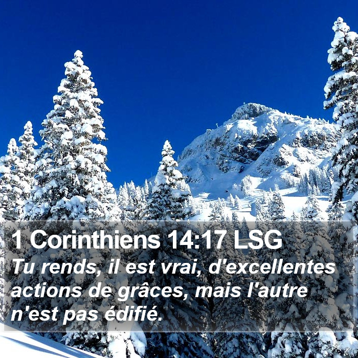 1 Corinthiens 14:17 LSG Bible Study