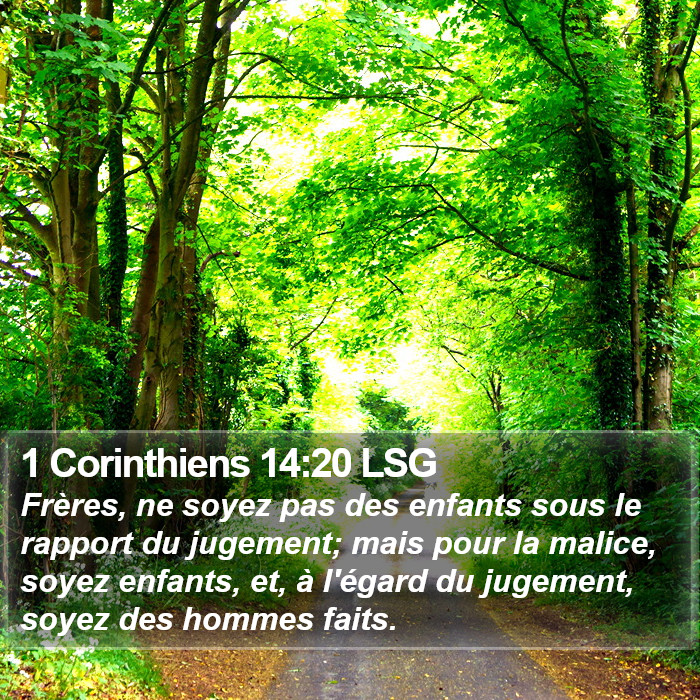 1 Corinthiens 14:20 LSG Bible Study