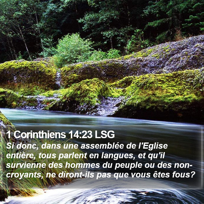 1 Corinthiens 14:23 LSG Bible Study