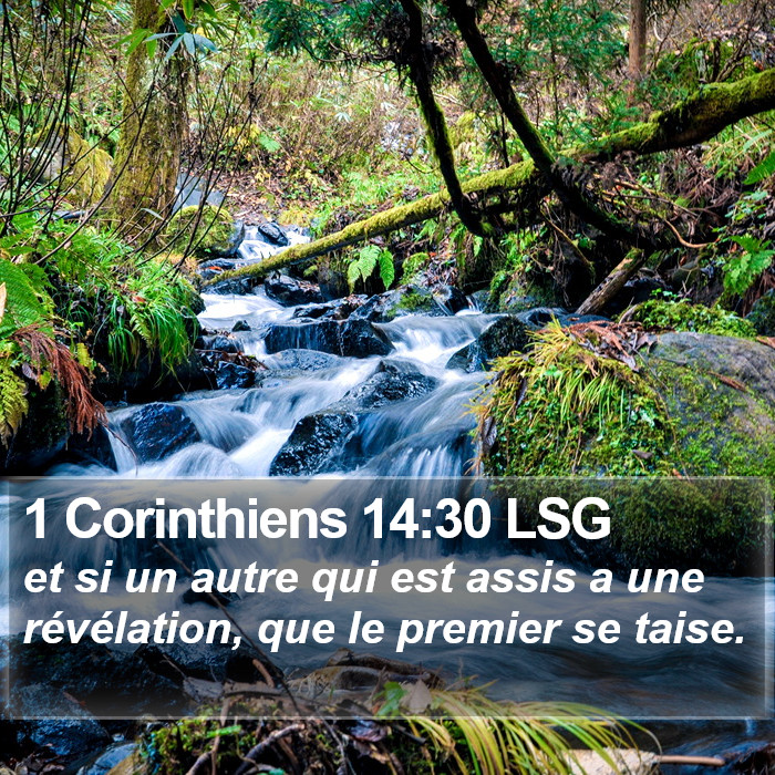1 Corinthiens 14:30 LSG Bible Study