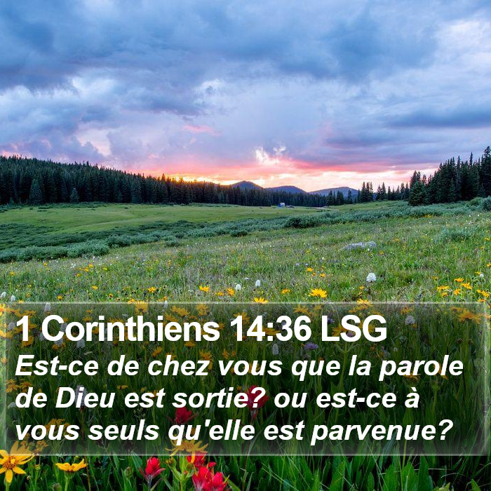 1 Corinthiens 14:36 LSG Bible Study