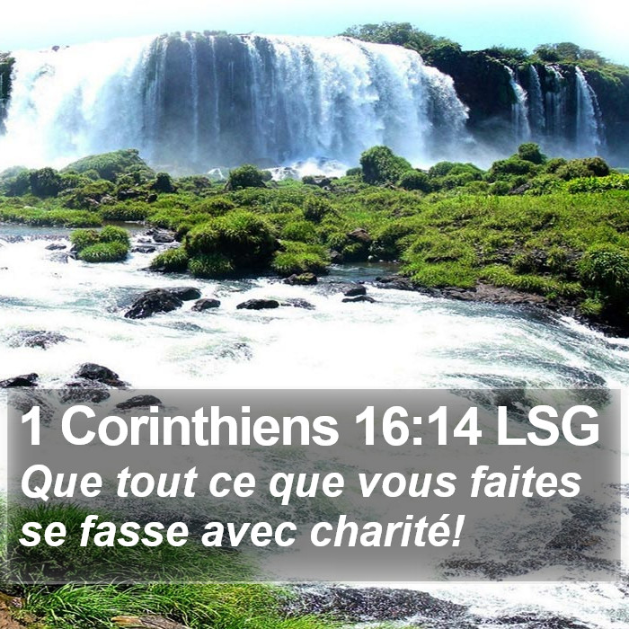 1 Corinthiens 16:14 LSG Bible Study