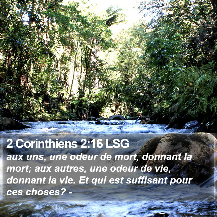 2 Corinthiens 2:16 LSG Bible Study