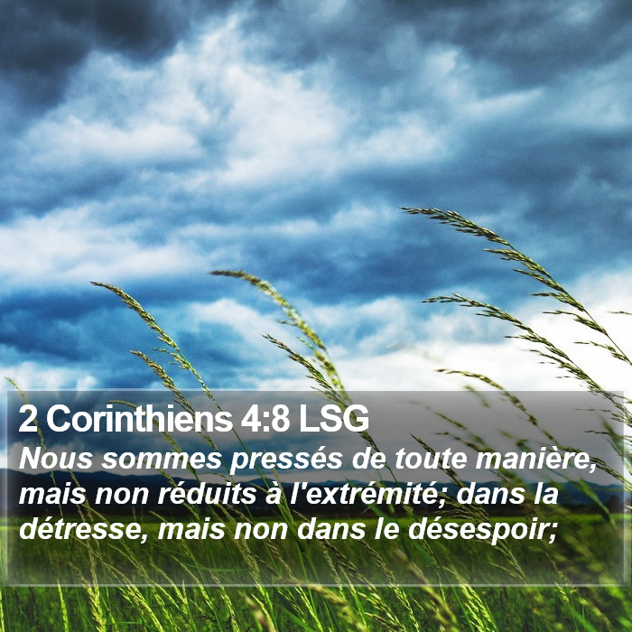 2 Corinthiens 4:8 LSG Bible Study