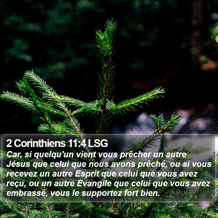 2 Corinthiens 11:4 LSG Bible Study