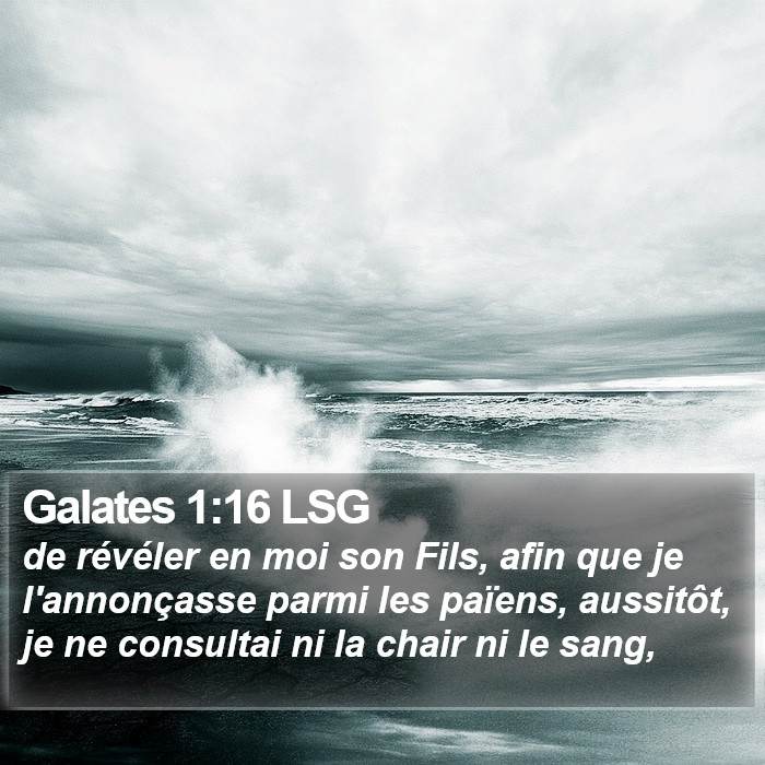 Galates 1:16 LSG Bible Study