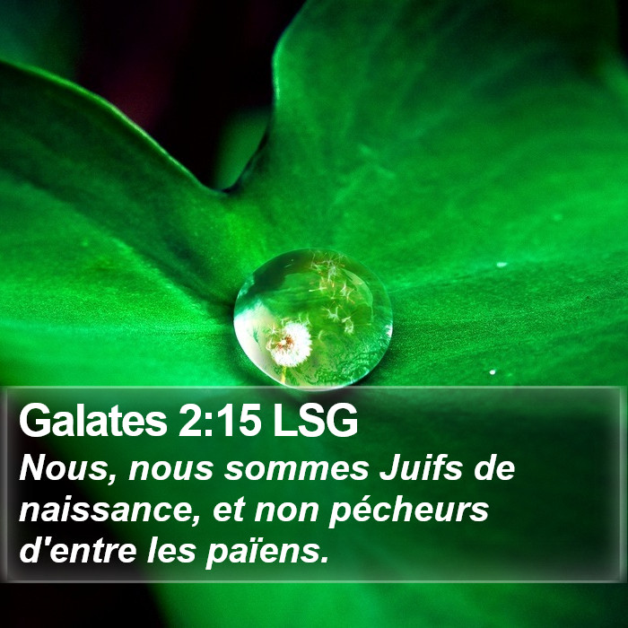 Galates 2:15 LSG Bible Study