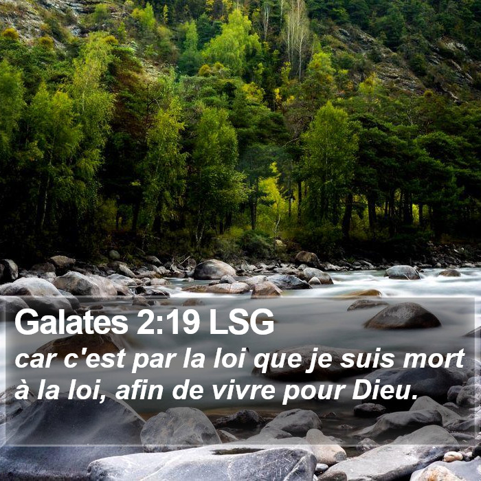 Galates 2:19 LSG Bible Study