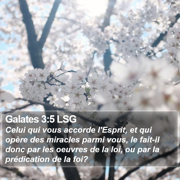 Galates 3:5 LSG Bible Study