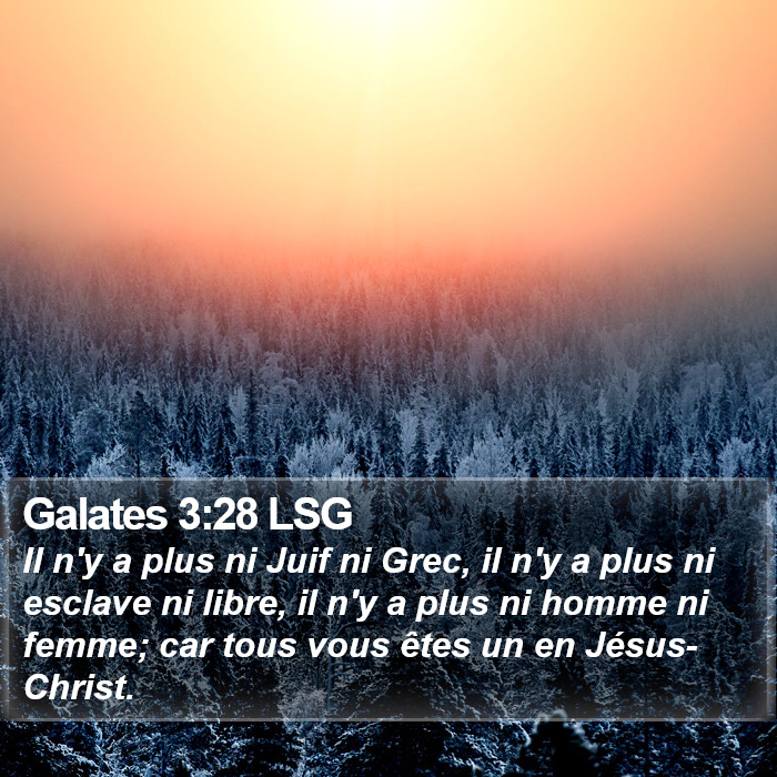 Galates 3:28 LSG Bible Study