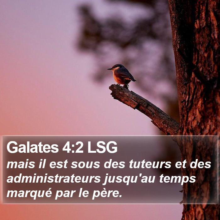 Galates 4:2 LSG Bible Study