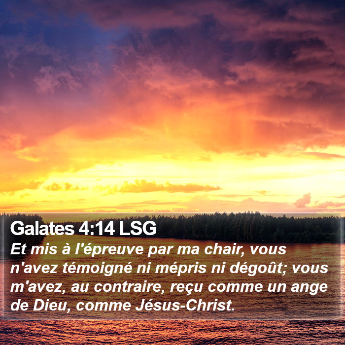 Galates 4:14 LSG Bible Study