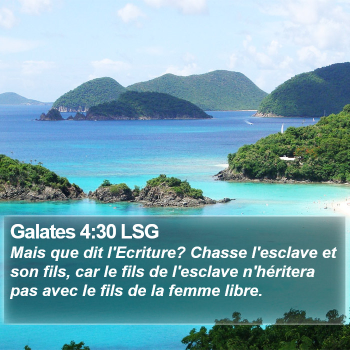 Galates 4:30 LSG Bible Study