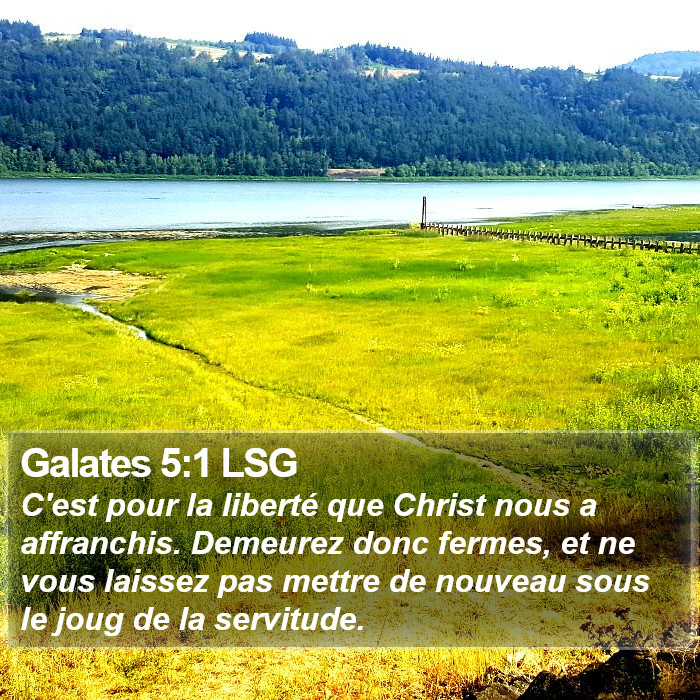 Galates 5:1 LSG Bible Study