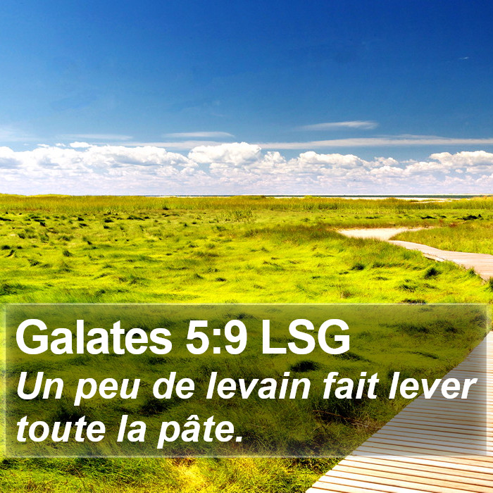 Galates 5:9 LSG Bible Study