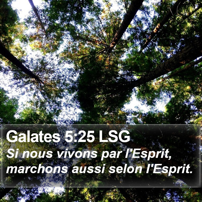 Galates 5:25 LSG Bible Study