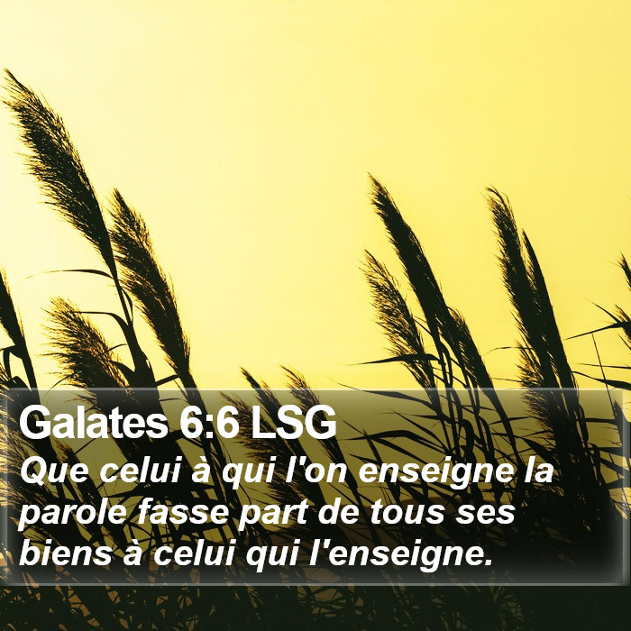 Galates 6:6 LSG Bible Study