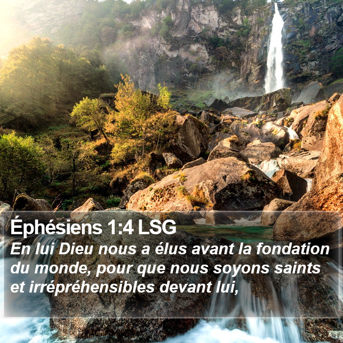 Éphésiens 1:4 LSG Bible Study