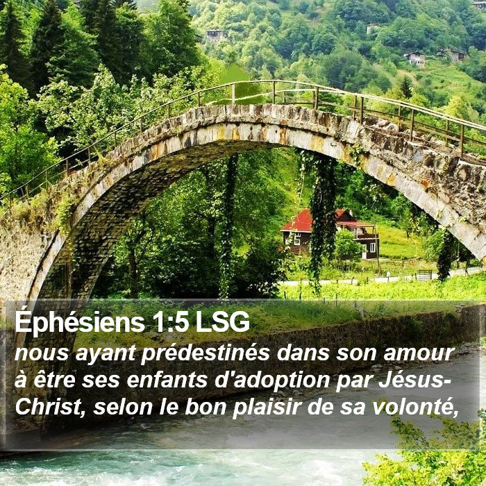 Éphésiens 1:5 LSG Bible Study