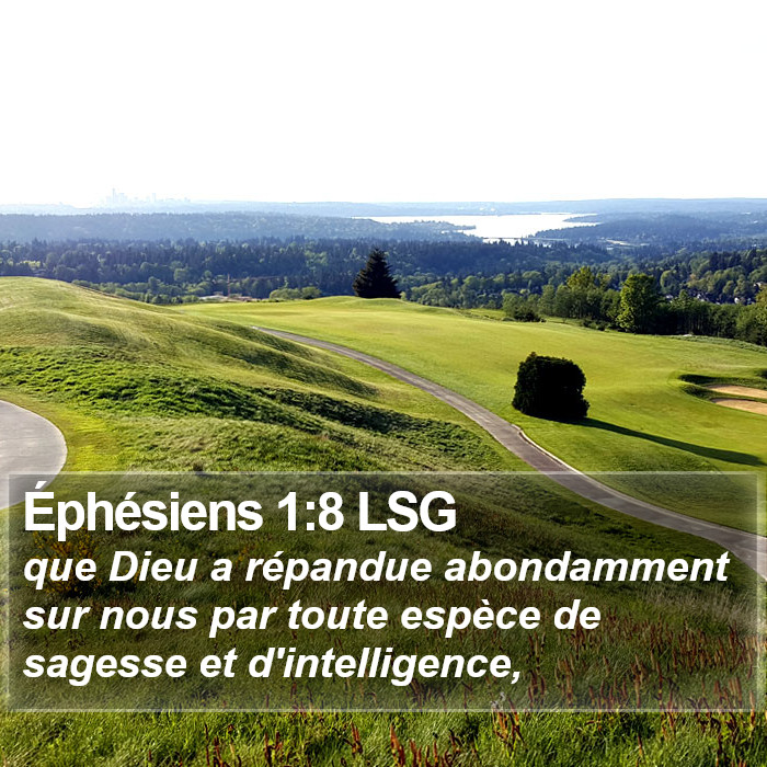 Éphésiens 1:8 LSG Bible Study