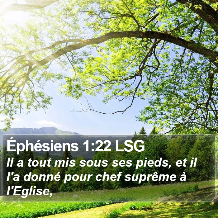 Éphésiens 1:22 LSG Bible Study