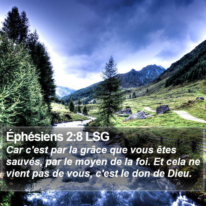 Éphésiens 2:8 LSG Bible Study