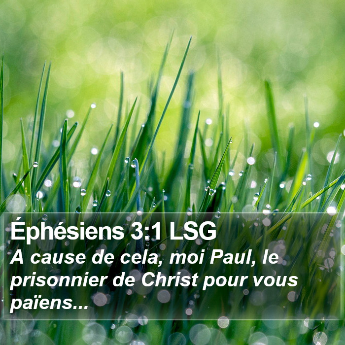 Éphésiens 3:1 LSG Bible Study