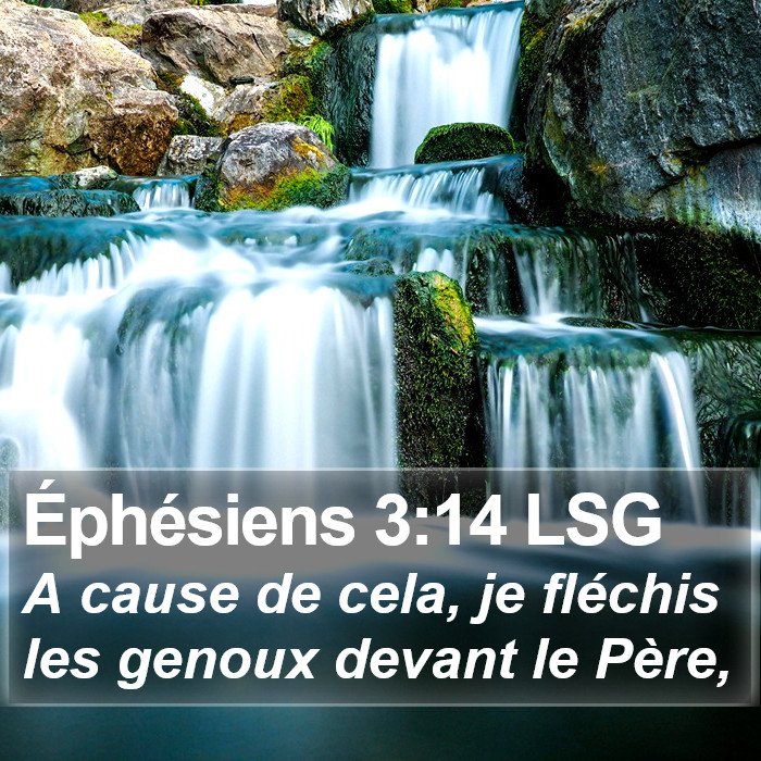 Éphésiens 3:14 LSG Bible Study