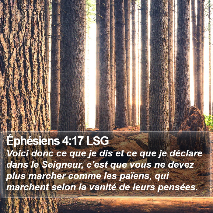 Éphésiens 4:17 LSG Bible Study