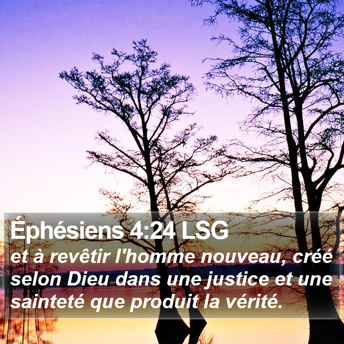 Éphésiens 4:24 LSG Bible Study