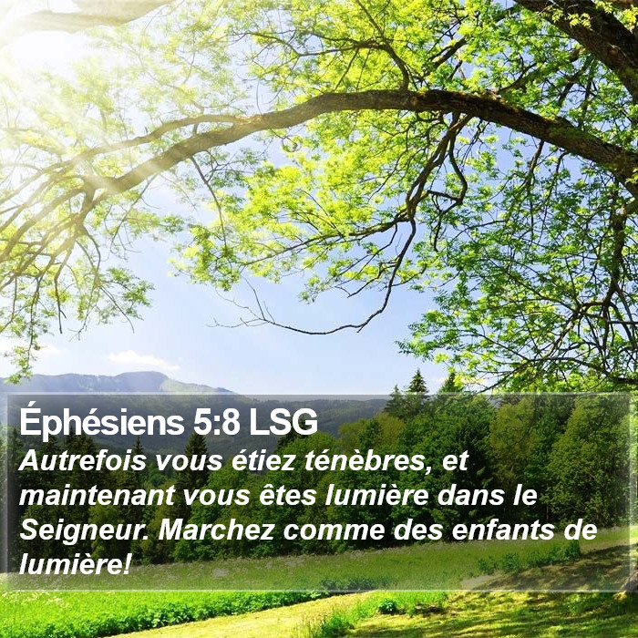 Éphésiens 5:8 LSG Bible Study