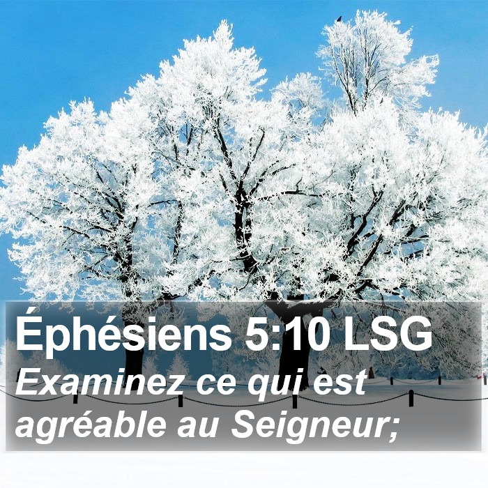 Éphésiens 5:10 LSG Bible Study