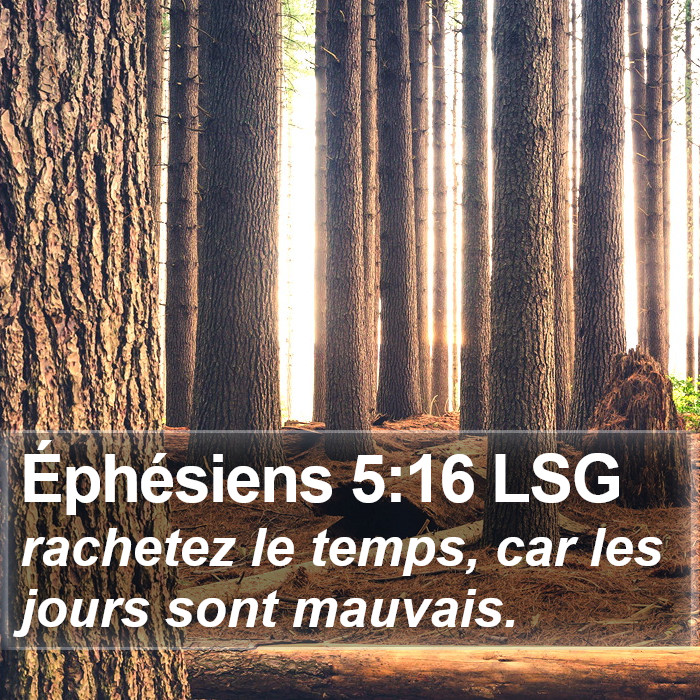 Éphésiens 5:16 LSG Bible Study