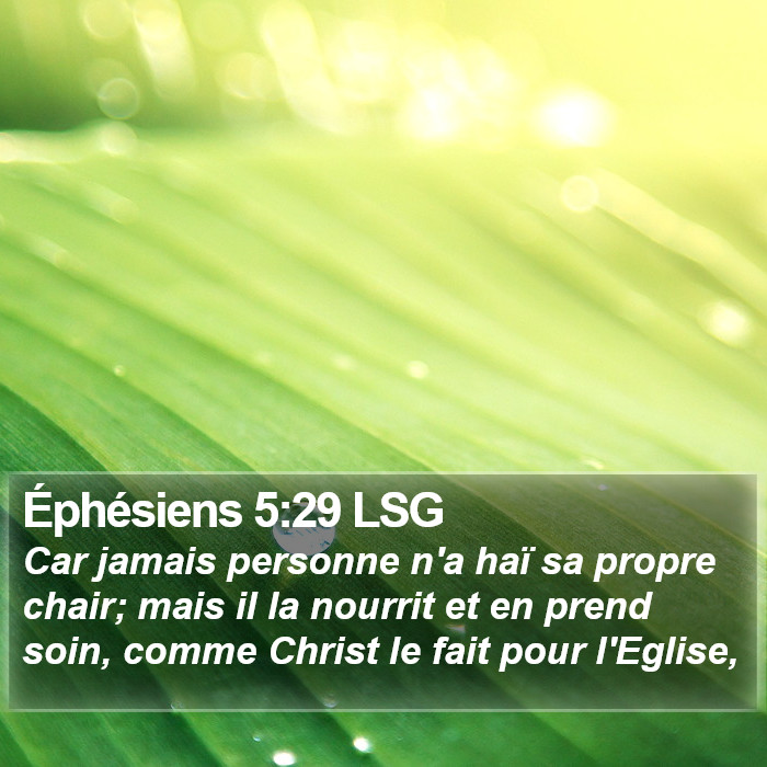 Éphésiens 5:29 LSG Bible Study